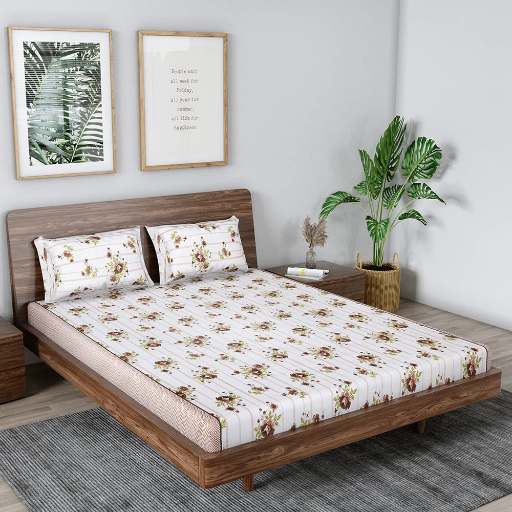 Mafatlal Grandious Cotton Bedsheet for King Size Bed | 186 TC Pure Cotton Fabric with Pillow Covers - Image 5